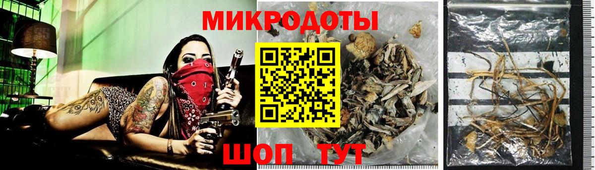 Псилоцибиновые грибы MAGIC MUSHROOMS Северск