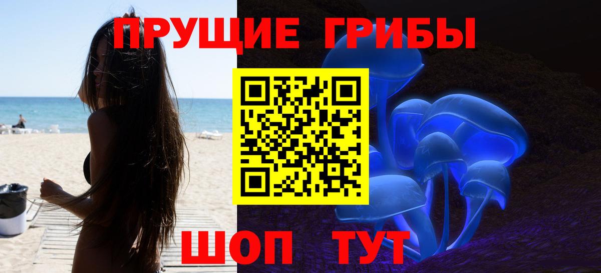 Псилоцибиновые грибы Cubensis  цены   Северск  Вход с VPN 